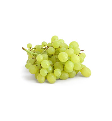 White Grape Must Concentrate